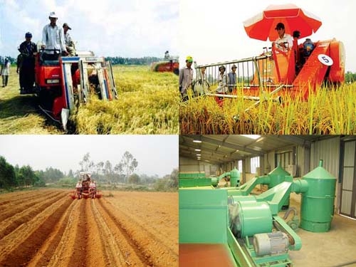 Doanh nghiệp nông nghiệp - động lực quan trọng của chuyển đổi cơ cấu nông nghiệp