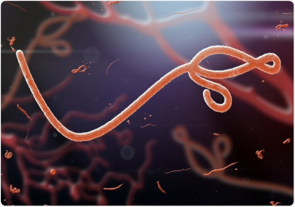 WHO tuyên bố chấm dứt dịch Ebola tại CHDC Congo