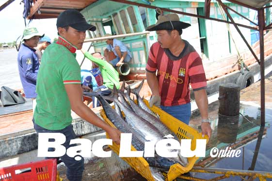 Tăng cường đầu tư cho khai thác, đánh bắt thủy sản