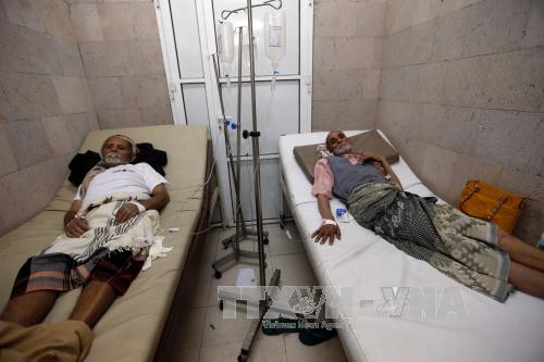 Liên hợp quốc quan ngại sâu sắc về tình hình dịch tả ở Yemen