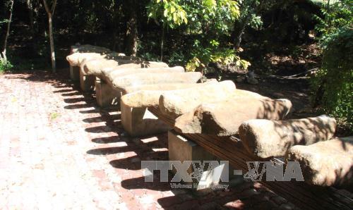 Độc đáo Khu bảo tồn lan rừng Troh Bư