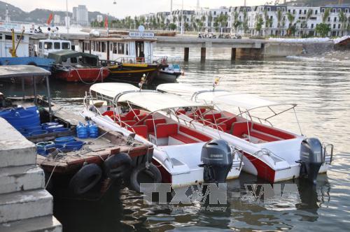 Quảng Ninh Bắt giữ nhiều tàu chở khách tham quan vịnh Hạ Long trái phép