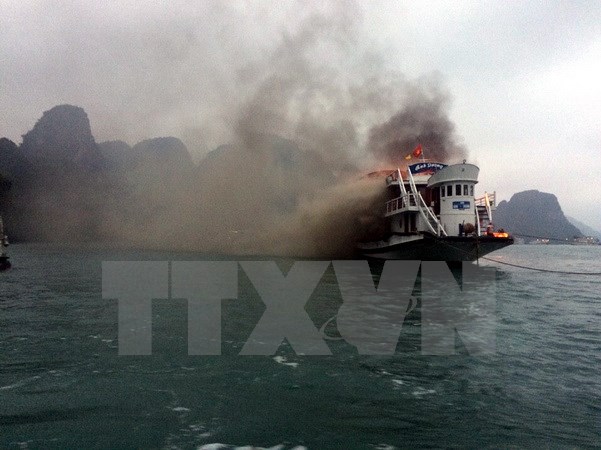 Quảng Ninh Đình chỉ hoạt động 14 tàu du lịch lưu trú vỏ gỗ