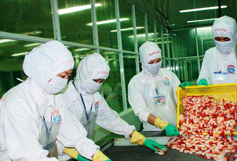 Đẩy mạnh liên kết “bốn nhà” trong sản xuất và chế biến tôm xuất khẩu