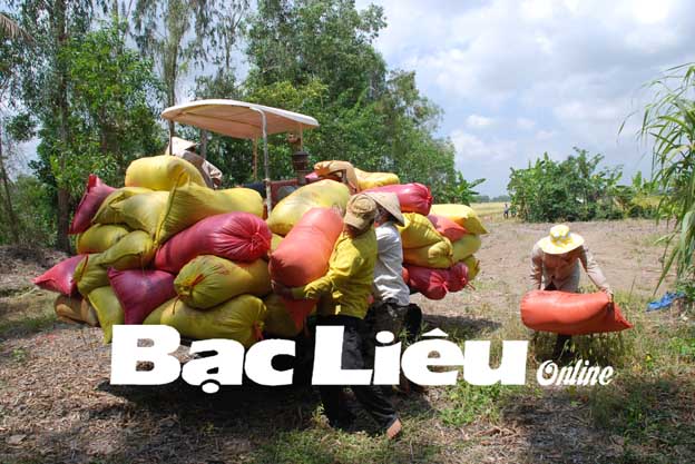 Kinh tế hợp tác - hợp tác xã Vì sao phát triển yếu kém