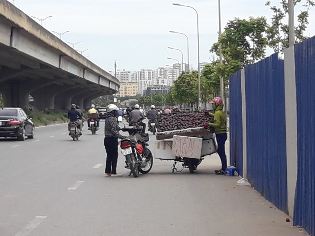 Hoa quả đặc sản 3 miền bày bán trên nhiều tuyến phố Hà Nội có đảm bảo chất lượng