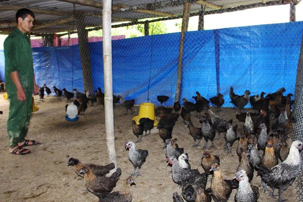 Cựu chiến binh huyện Phù Cừ Hưng Yên tích cực đóng góp xây dựng quê hương