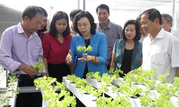 Thanh Trì cần xây dựng nông thôn mới thực chất