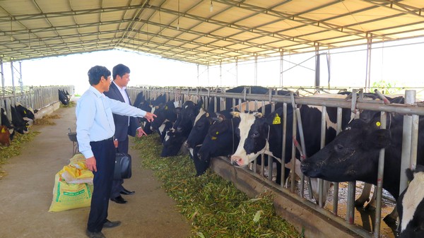 Những mô hình kinh tế mới trên vùng đất cũ