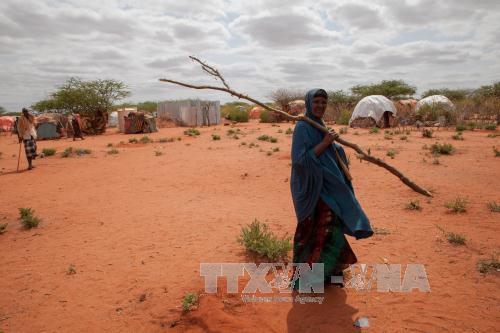 Liên hợp quốc kêu gọi hỗ trợ Ethiopia đối phó với hạn hán