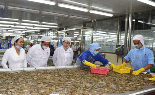 Doanh nghiệp Bạc Liêu Vượt khó, tăng năng lực cạnh tranh để phát triển