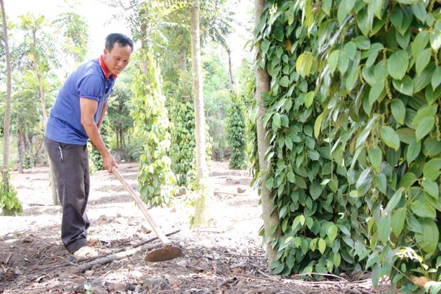 Bao giờ người dân tái định cư Thủy điện Sêrêpốk 3 mới an cư