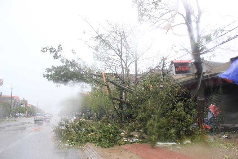 Quy định mới về phạt vi phạm hành chính trong lĩnh vực phòng, chống thiên tai