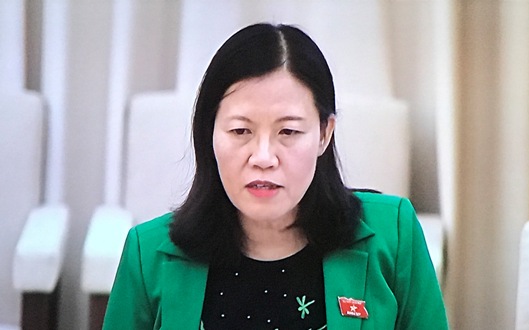 Giao cơ quan quản lý xác minh tài sản, thu nhập có khó khả thi