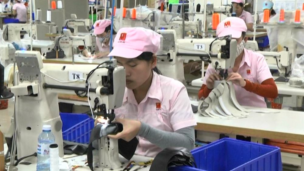 Thanh tra đơn vị cố tình trốn đóng, nợ đóng BHXH