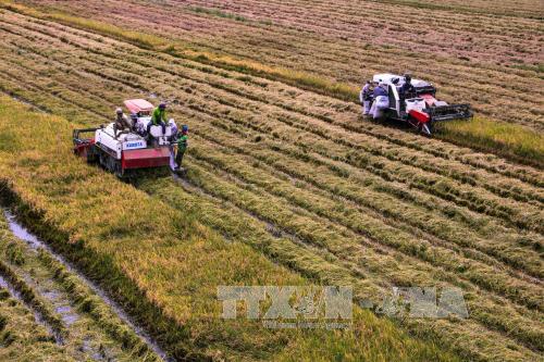 Cần tạo chuyển biến mới cho Đồng bằng sông Cửu Long