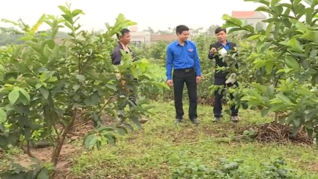 Đồng hành cùng thanh niên lập thân, lập nghiệp