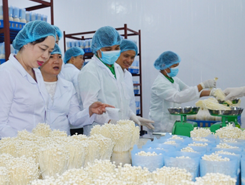Mỹ Đức cần tạo tiền đề nhằm thu hút các tổ chức, doanh nghiệp vào đầu tư