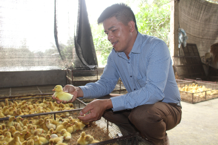 Tỷ phú từ chăn nuôi vịt ở Hưng Yên