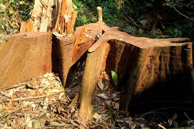 Hội chứng “không biết”