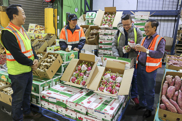 Sôi động Ngày Thanh long Việt Nam tại Australia