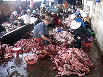 Phạt tới 200 triệu đồng đối với vi phạm về an toàn thực phẩm