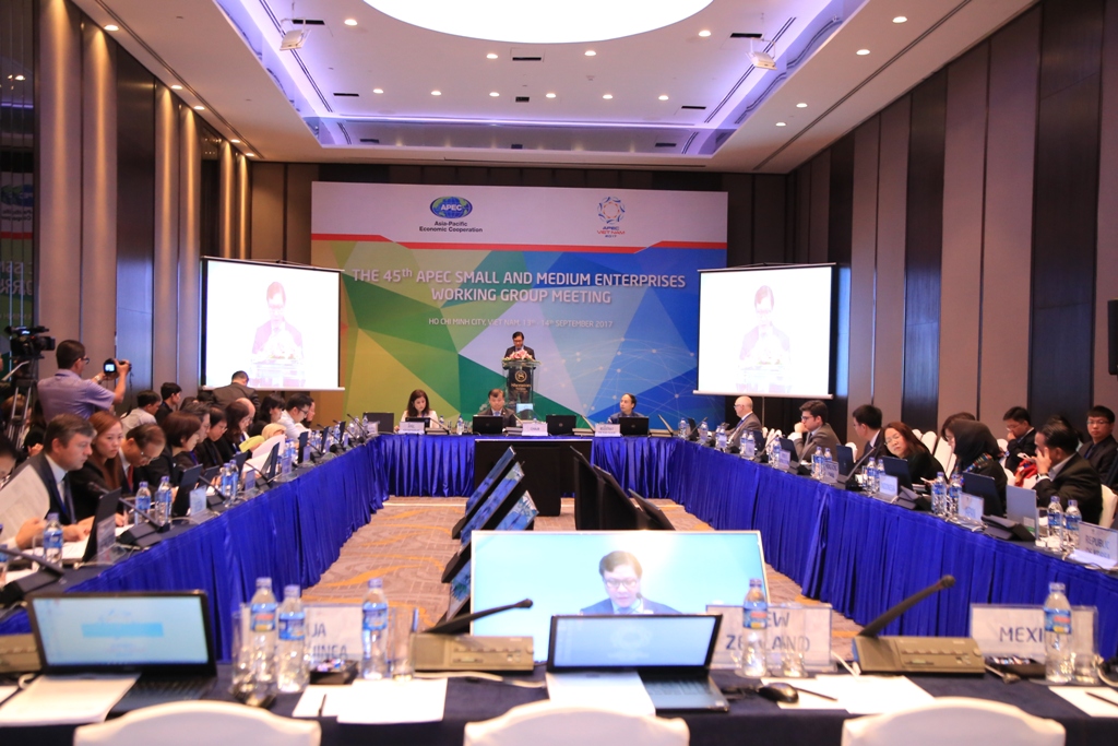 Xây dựng chiến lược phát triển cho các doanh nghiệp nhỏ và vừa trong APEC