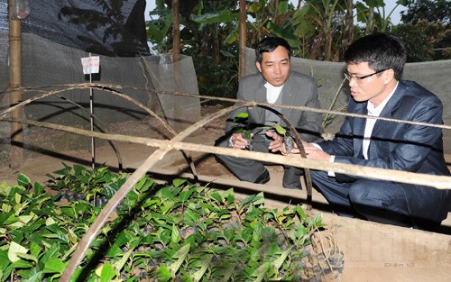 Trí thức trẻ dấn thân nơi xã nghèo vùng cao