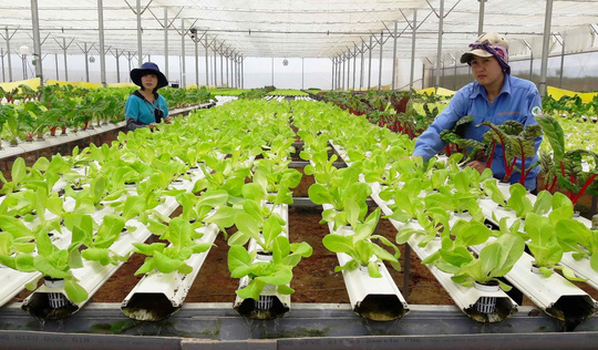 Đơn giản hóa 7 thủ tục hành chính thuộc quản lý của Bộ Khoa học và Công nghệ