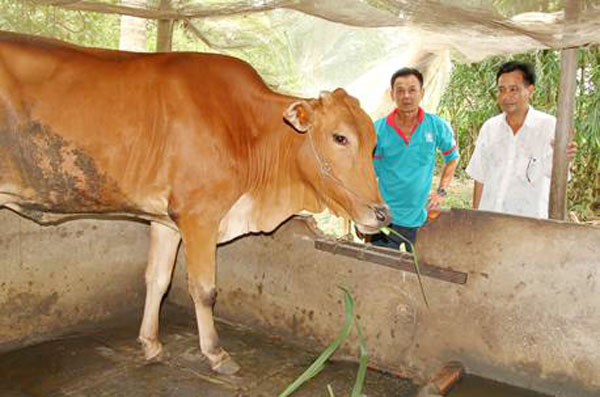 Đồng hành cùng người nghèo