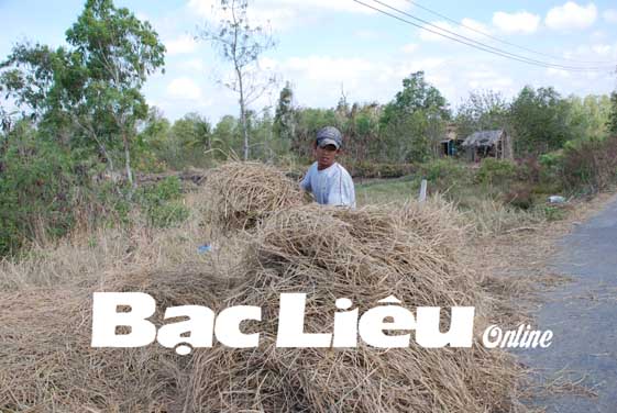 Bảo vệ môi trường nông thôn Cần tái sử dụng các phế phẩm từ sản xuất nông nghiệp