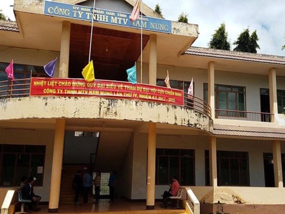 Đắk Nông Khai trừ Đảng, cách chức Giám đốc Công ty TNHH một thành viên Nam Nung