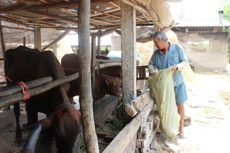 Vĩnh Phúc Triển khai phong trào thi đua “Cả nước chung tay vì người nghèo – không để ai bị bỏ lại phía sau”