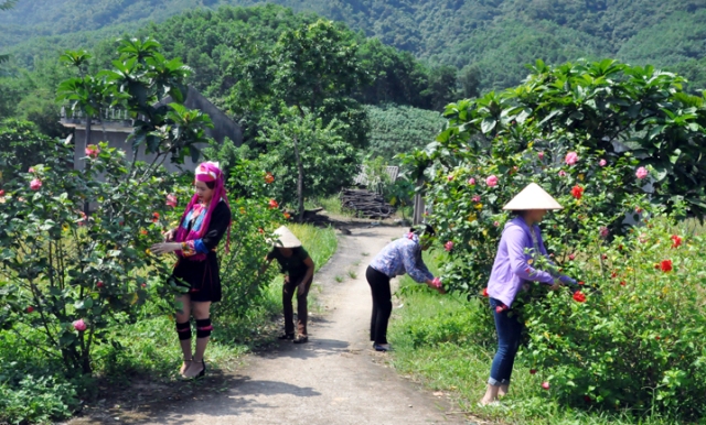 Nỗ lực nâng cao đời sống vật chất, tinh thần cho hội viên, phụ nữ