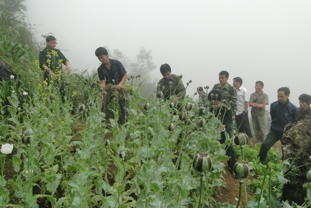 Bộ đội Biên phòng tỉnh Hà Giang chủ động đấu tranh phòng, chống tội phạm