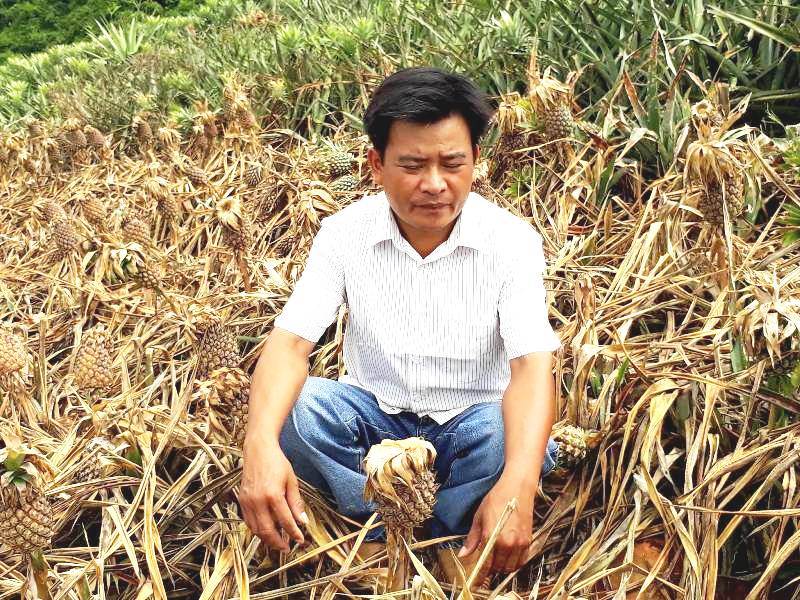 Cần nghiêm trị hành vi hủy hoại tài sản