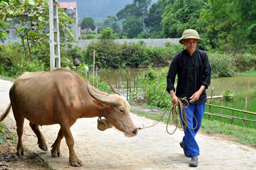 Một tấm lòng vì cộng đồng