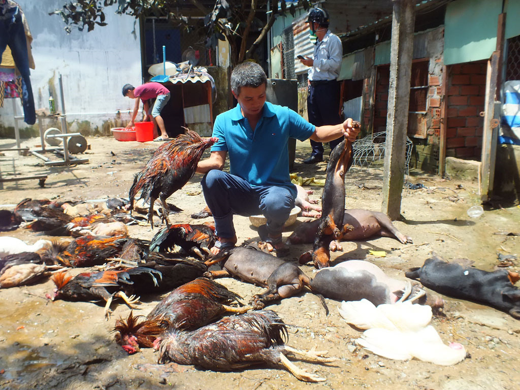 Vụ rò rỉ khí amoniac tại TP Hồ Chí Minh Người dân có quyền được bồi thường thiệt hại