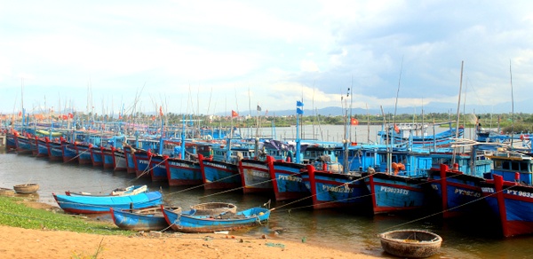 Phú Yên Siết chặt tình trạng khai thác hải sản trái phép ở vùng biển nước ngoài
