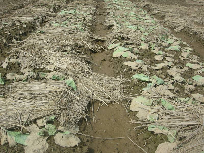Ngân hàng Thế giới hỗ trợ Việt Nam ứng phó thiên tai