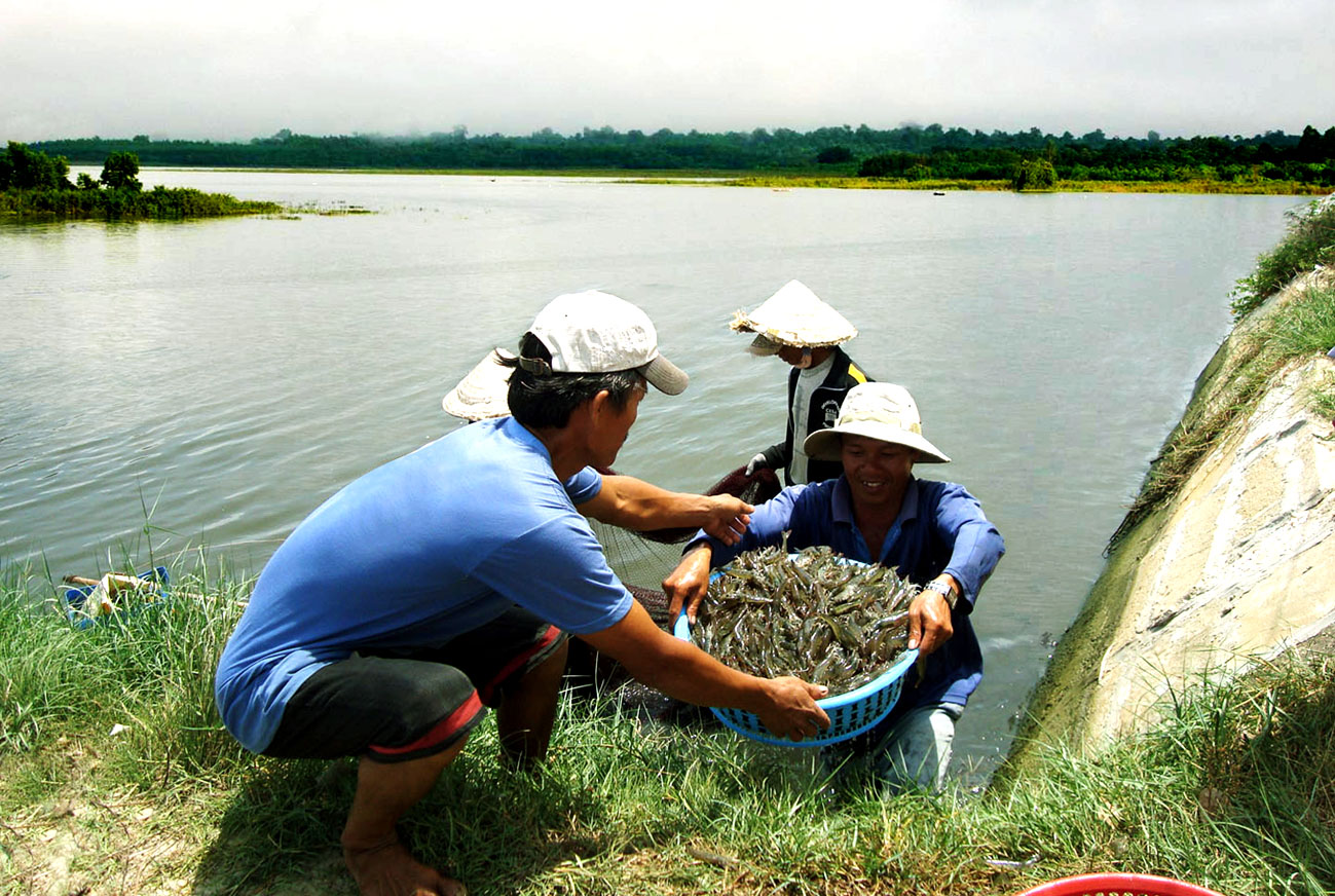 Vĩnh Phúc Từng bước đa dạng hóa nuôi trồng thủy sản