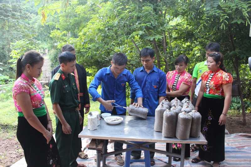 Dấu ấn tình nguyện nơi biên cương ​