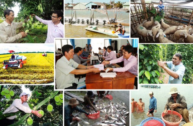 Tiếp tục thực hiện hiệu quả Chỉ thị 40 của Ban Bí thư về tín dụng chính sách