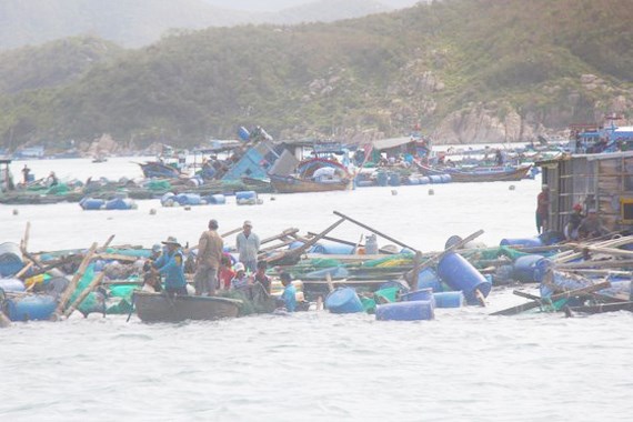 Cộng đồng người Việt tại Mexico quyên góp ủng hộ đồng bào khắc phục hậu quả cơn bão số 12