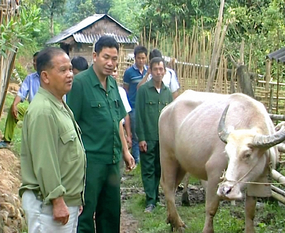 Cựu chiến binh tỉnh Thanh Hóa phát huy phẩm chất “Bộ đội Cụ Hồ”