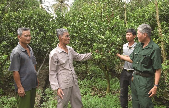 Cựu chiến binh Nghệ An tích cực góp phần xây dựng quê hương mạnh giàu