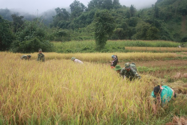 Phát huy hiệu quả “Thế trận biên phòng toàn dân”