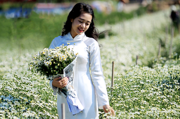 Dịu dàng họa mi giữa lòng Hà Nội