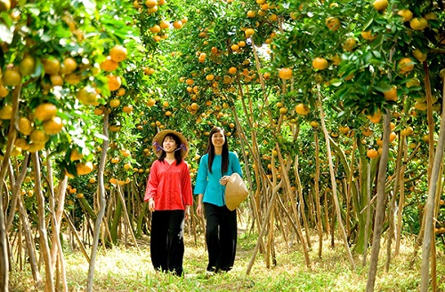 Cần Thơ đặt mục tiêu đưa du lịch thành ngành kinh tế mũi nhọn