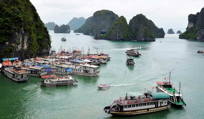Đình chỉ hoạt động 3 tàu du lịch trên Vịnh Hạ Long
